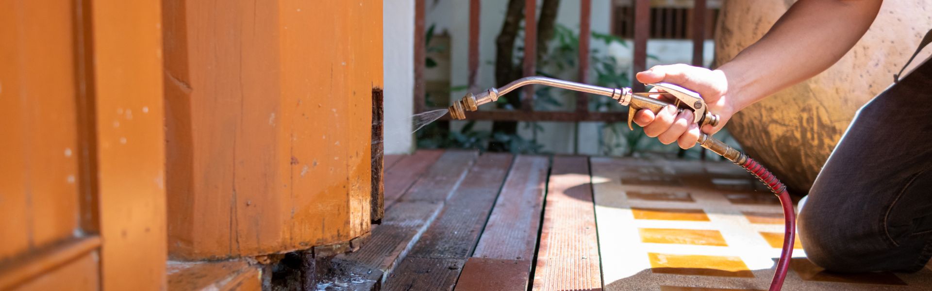 Defend Your Home: The Importance of Professional Pest Control Services's Banner Image Defend Your Home: The Importance of Professional Pest Control Services's Banner Image