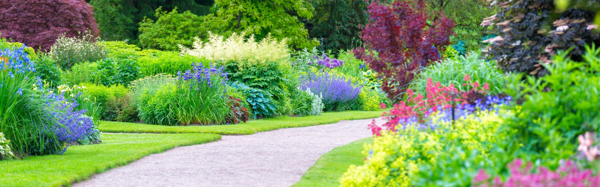 Transform Your Outdoor Space: The Ultimate Guide to Landscaping & Gardening Services's Banner Image Transform Your Outdoor Space: The Ultimate Guide to Landscaping & Gardening Services's Banner Image