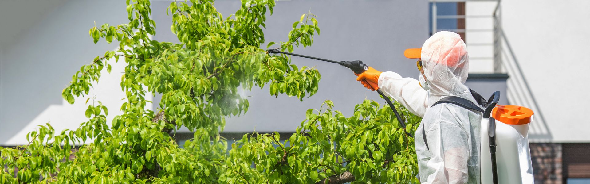 Seasonal Pest Control: How to Protect Your Home Year-Round's Banner Image Seasonal Pest Control: How to Protect Your Home Year-Round's Banner Image