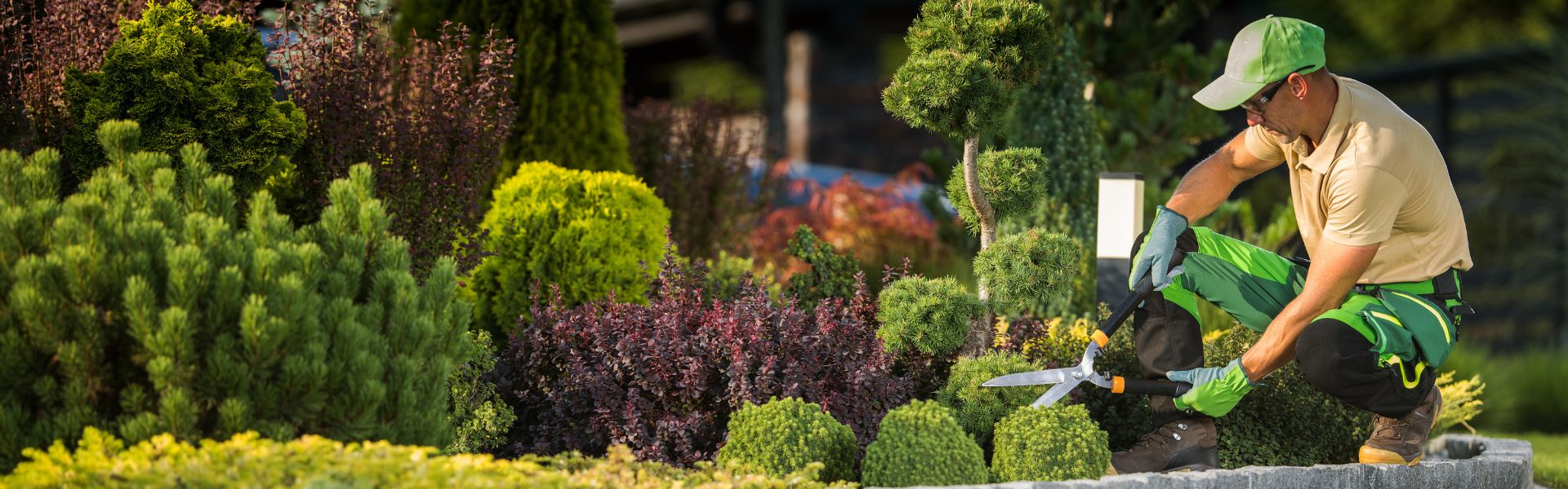The Secret to a Perfect Garden: Why Professional Landscaping & Gardening Services Matter's Banner Image The Secret to a Perfect Garden: Why Professional Landscaping & Gardening Services Matter's Banner Image