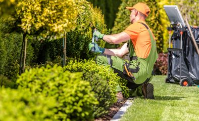 Transform Your Outdoor Space: The Ultimate Guide to Landscaping & Gardening Services's Thumbnail Image