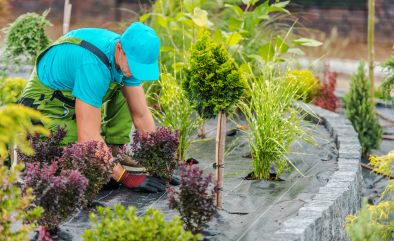 The Secret to a Perfect Garden: Why Professional Landscaping & Gardening Services Matter's Thumbnail Image